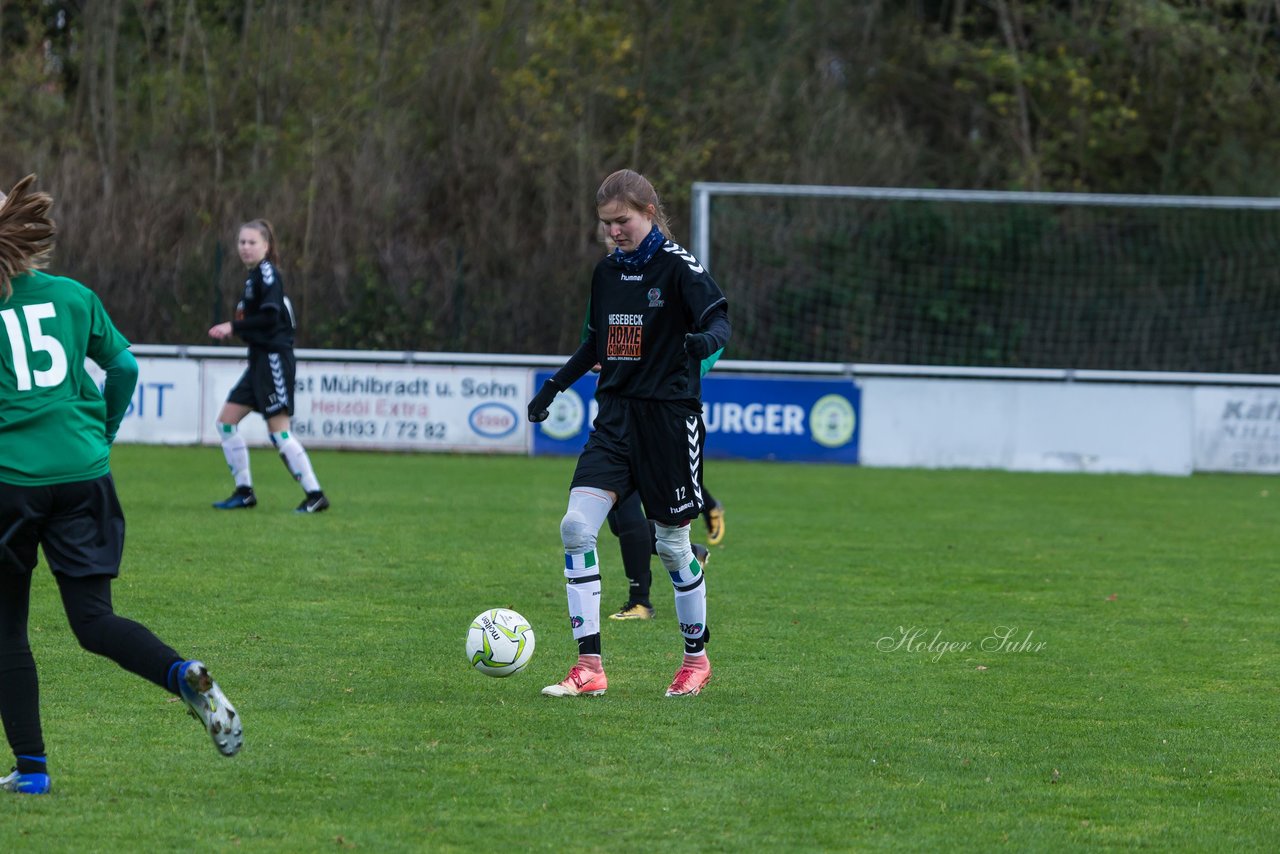 Bild 220 - B-Juniorinnen SV Henstedt Ulzburg - SG ONR : Ergebnis: 14:0